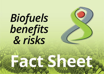 Biofuel - Benefits & Risks